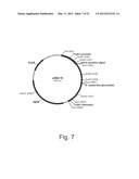 Methods For Producing Secreted Polypeptides diagram and image