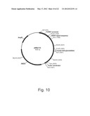 Methods For Producing Secreted Polypeptides diagram and image