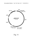 Methods For Producing Secreted Polypeptides diagram and image