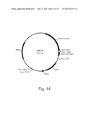 Methods For Producing Secreted Polypeptides diagram and image