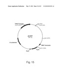 Methods For Producing Secreted Polypeptides diagram and image