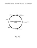 Methods For Producing Secreted Polypeptides diagram and image