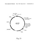 Methods For Producing Secreted Polypeptides diagram and image