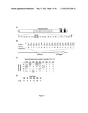 MODULAR DNA-BINDING DOMAINS AND METHODS OF USE diagram and image