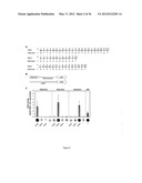 MODULAR DNA-BINDING DOMAINS AND METHODS OF USE diagram and image