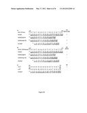 MODULAR DNA-BINDING DOMAINS AND METHODS OF USE diagram and image