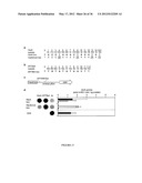 MODULAR DNA-BINDING DOMAINS AND METHODS OF USE diagram and image