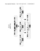 MODULAR DNA-BINDING DOMAINS AND METHODS OF USE diagram and image