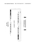 MODULAR DNA-BINDING DOMAINS AND METHODS OF USE diagram and image