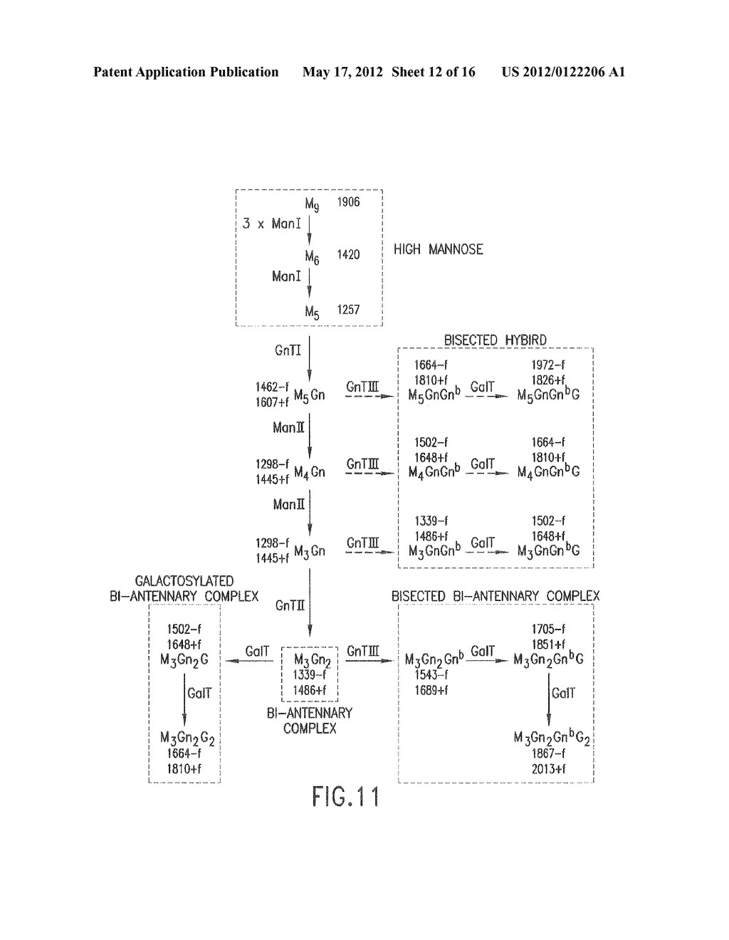 Glycosylation Engineering of Antibodies for Improving Antibody-Dependent     Cellular Cytotoxicity - diagram, schematic, and image 13