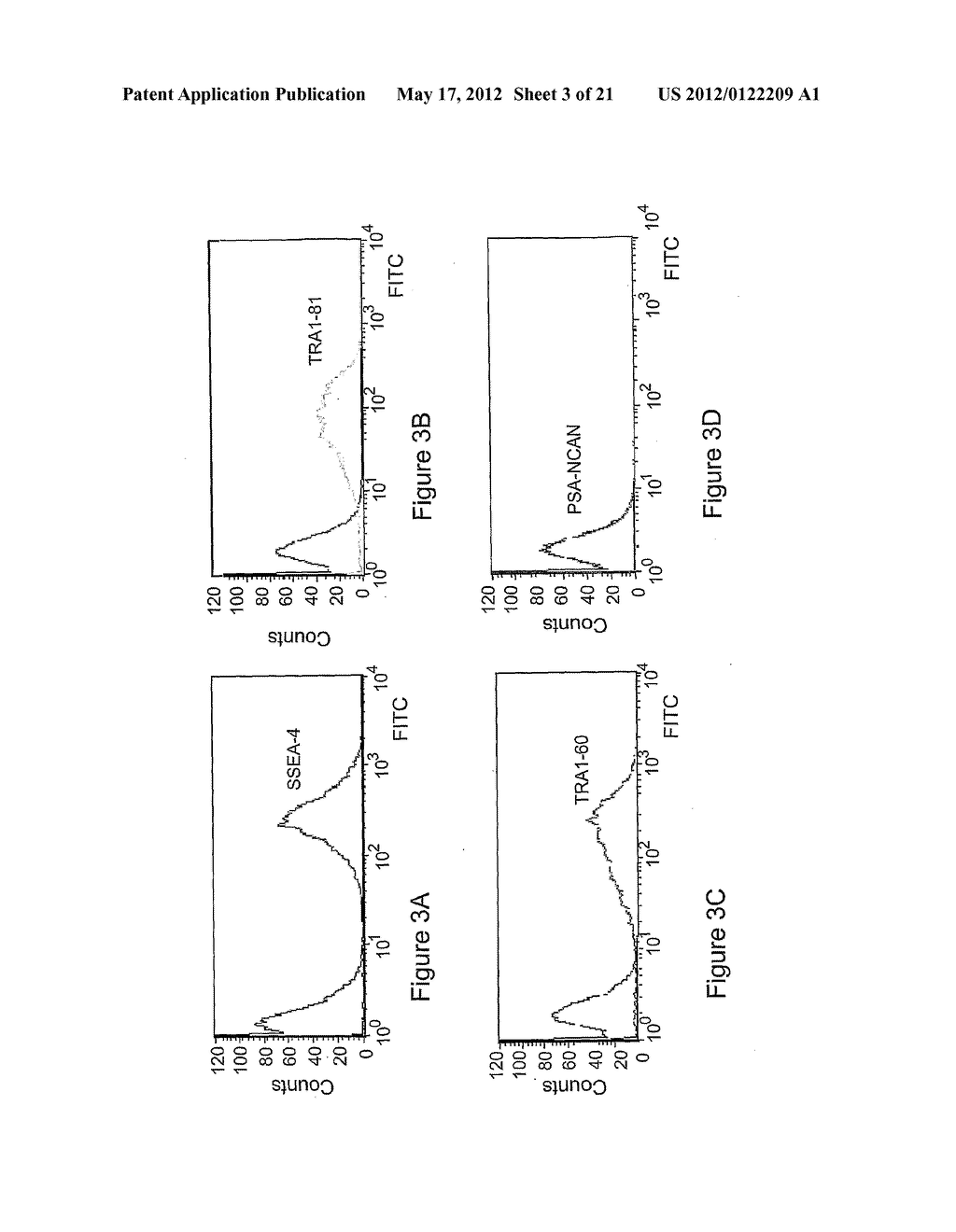 Undifferentiated Stem Cell Culture Systems - diagram, schematic, and image 04