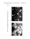 METHOD FOR PRODUCING CELL MEDICINE diagram and image