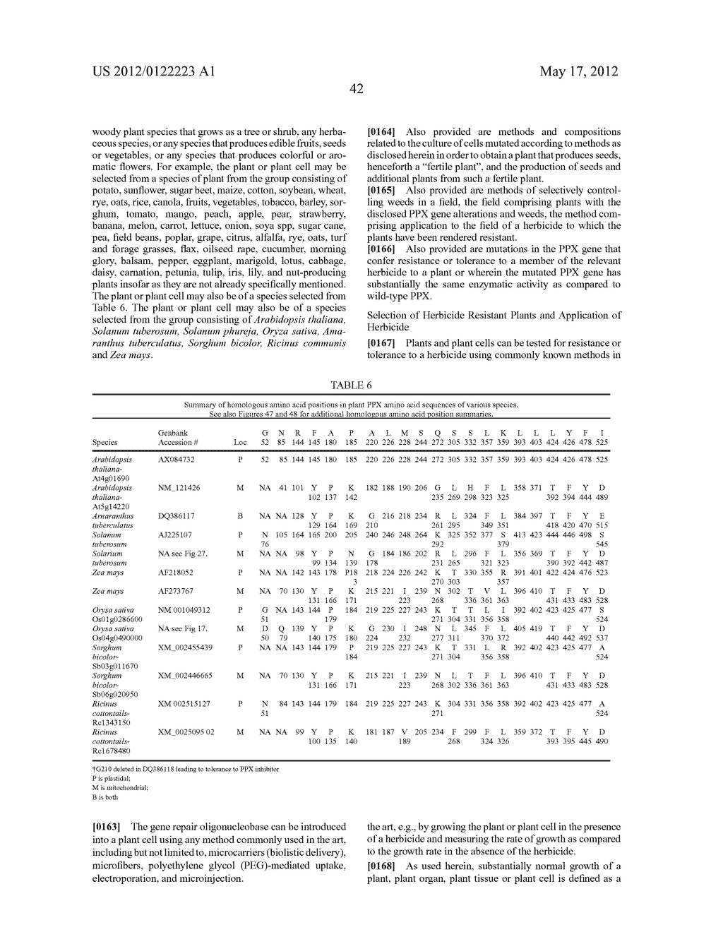 MUTATED PROTOPORPHYRINOGEN IX OXIDASE (PPX) GENES - diagram, schematic, and image 76