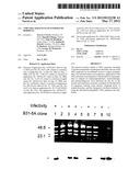 VMP-Like Sequences of Pathogenic Borrelia diagram and image