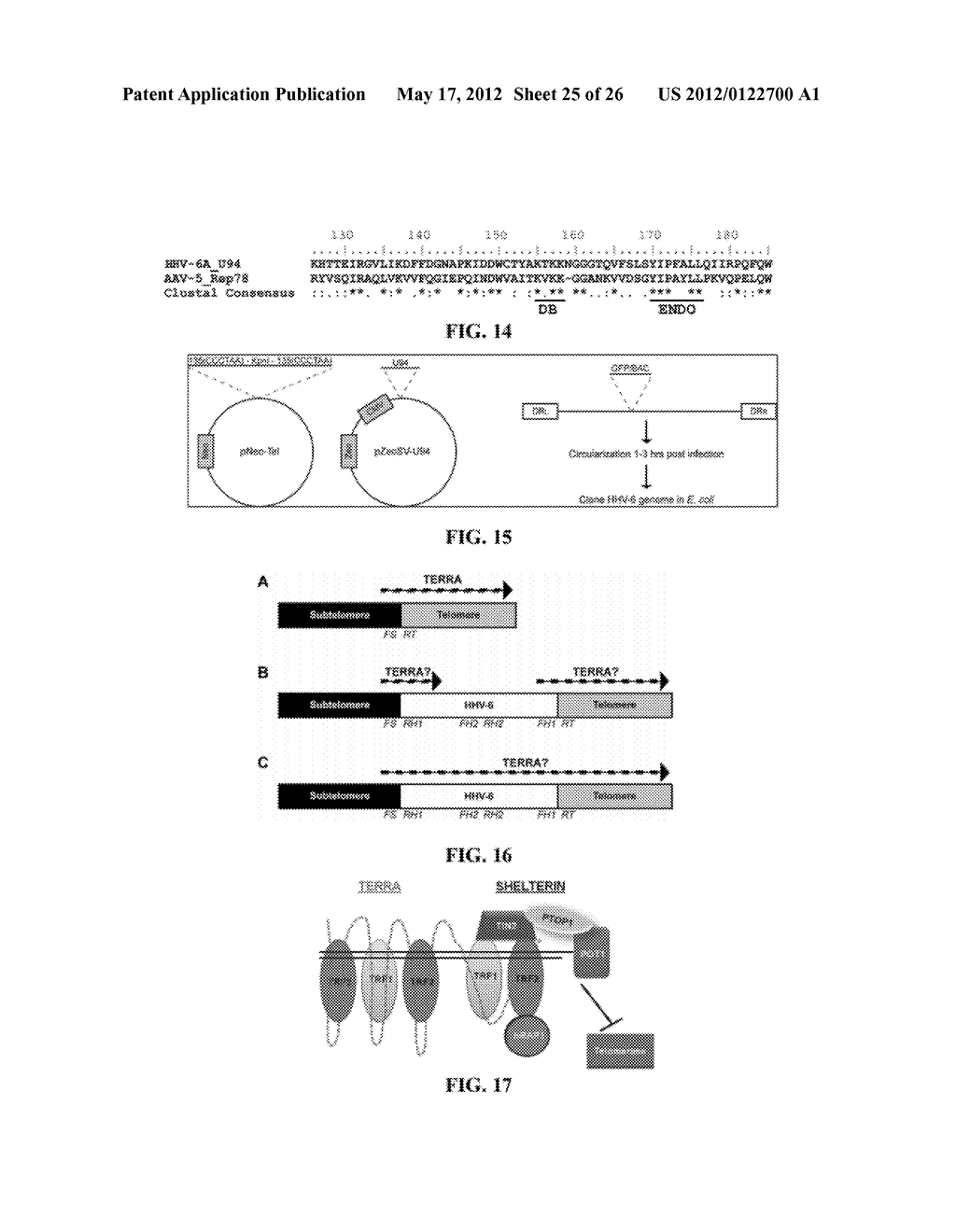 MATERIALS AND METHODS FOR DETERMINING SUBTELOMERE DNA SEQUENCE - diagram, schematic, and image 26
