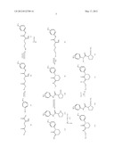 LIBRARIES OF 1-(SULFONYL)-N-PHENYLPYRROLIDINE-2-CARBOXAMIDES FOR THE     IDENTIFICATION OF BIOLOGICAL AND PHARMACOLOGICAL ACTIVITY diagram and image