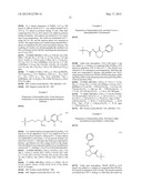 LIBRARIES OF 1-(SULFONYL)-N-PHENYLPYRROLIDINE-2-CARBOXAMIDES FOR THE     IDENTIFICATION OF BIOLOGICAL AND PHARMACOLOGICAL ACTIVITY diagram and image