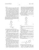 LIBRARIES OF 1-(SULFONYL)-N-PHENYLPYRROLIDINE-2-CARBOXAMIDES FOR THE     IDENTIFICATION OF BIOLOGICAL AND PHARMACOLOGICAL ACTIVITY diagram and image