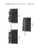 Methods for PCR and HLA typing using unpurified samples diagram and image