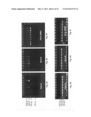 Methods for PCR and HLA typing using unpurified samples diagram and image