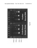 Methods for PCR and HLA typing using unpurified samples diagram and image