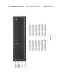 Methods for PCR and HLA typing using unpurified samples diagram and image