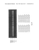 Methods for PCR and HLA typing using unpurified samples diagram and image