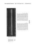 Methods for PCR and HLA typing using unpurified samples diagram and image