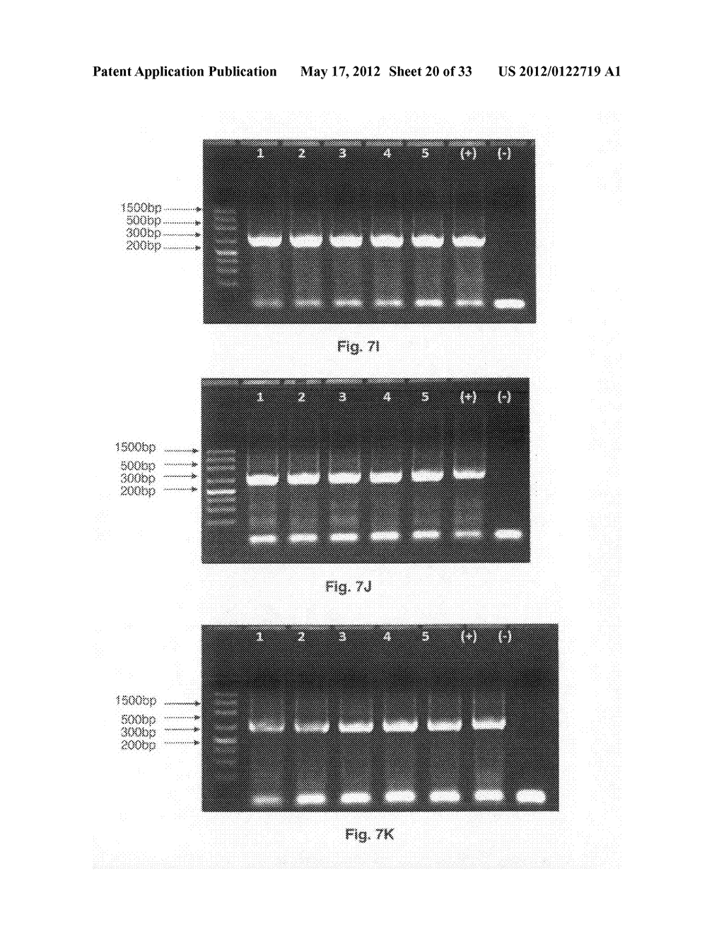 Methods for PCR and HLA typing using unpurified samples - diagram, schematic, and image 21