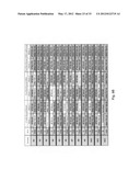 Methods for PCR and HLA typing using unpurified samples diagram and image