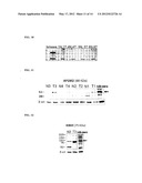 MARKERS FOR ENDOMETRIAL CANCER diagram and image