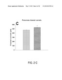 Method Of Screening Drugs For Reversal Of Amyloid Beta Neurotoxicity diagram and image