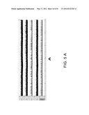 Method Of Screening Drugs For Reversal Of Amyloid Beta Neurotoxicity diagram and image