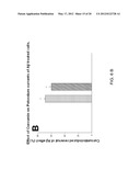 Method Of Screening Drugs For Reversal Of Amyloid Beta Neurotoxicity diagram and image