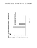 Method Of Screening Drugs For Reversal Of Amyloid Beta Neurotoxicity diagram and image