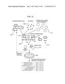 Screening molecular libraries using microfluidic devices diagram and image