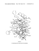 STRUCTURE OF THE C-TERMINAL REGION OF THE INSULIN RECEPTOR a-CHAIN AND OF     THE INSULIN-LIKE GROWTH FACTOR RECEPTOR a-CHAIN diagram and image