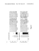 Methods of Reducing Myocardial Injury Following Myocardial Infarction diagram and image