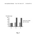 SUBSTRATE FOR CARTILAGE CULTIVATION USING ARTIFICIAL COLLAGEN, AND METHOD     FOR CARTILAGE REGENERATION TREATMENT USING THE SUBSTRATE diagram and image