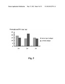 SUBSTRATE FOR CARTILAGE CULTIVATION USING ARTIFICIAL COLLAGEN, AND METHOD     FOR CARTILAGE REGENERATION TREATMENT USING THE SUBSTRATE diagram and image