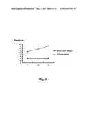 SUBSTRATE FOR CARTILAGE CULTIVATION USING ARTIFICIAL COLLAGEN, AND METHOD     FOR CARTILAGE REGENERATION TREATMENT USING THE SUBSTRATE diagram and image