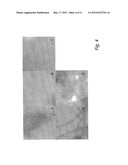 Compound And Method For Treatment Of Alzheimer s Disease diagram and image