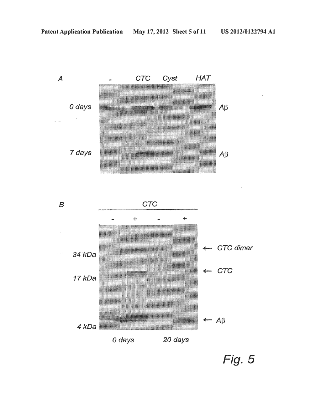 Compound And Method For Treatment Of Alzheimer's Disease - diagram, schematic, and image 06