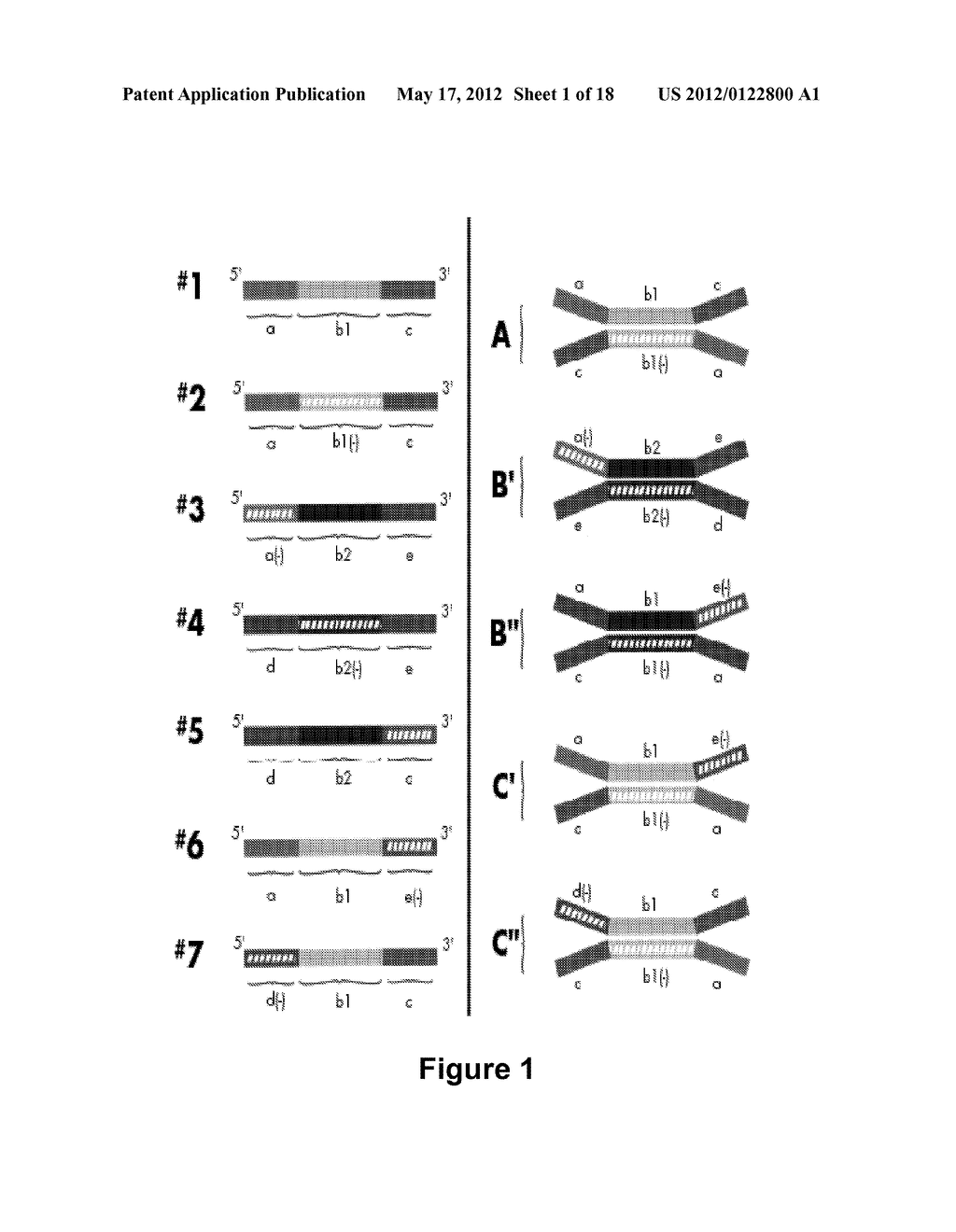 Long-Acting DNA Dendrimers and Methods Thereof - diagram, schematic, and image 02