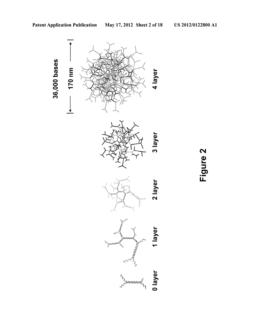 Long-Acting DNA Dendrimers and Methods Thereof - diagram, schematic, and image 03