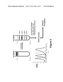 Long-Acting DNA Dendrimers and Methods Thereof diagram and image