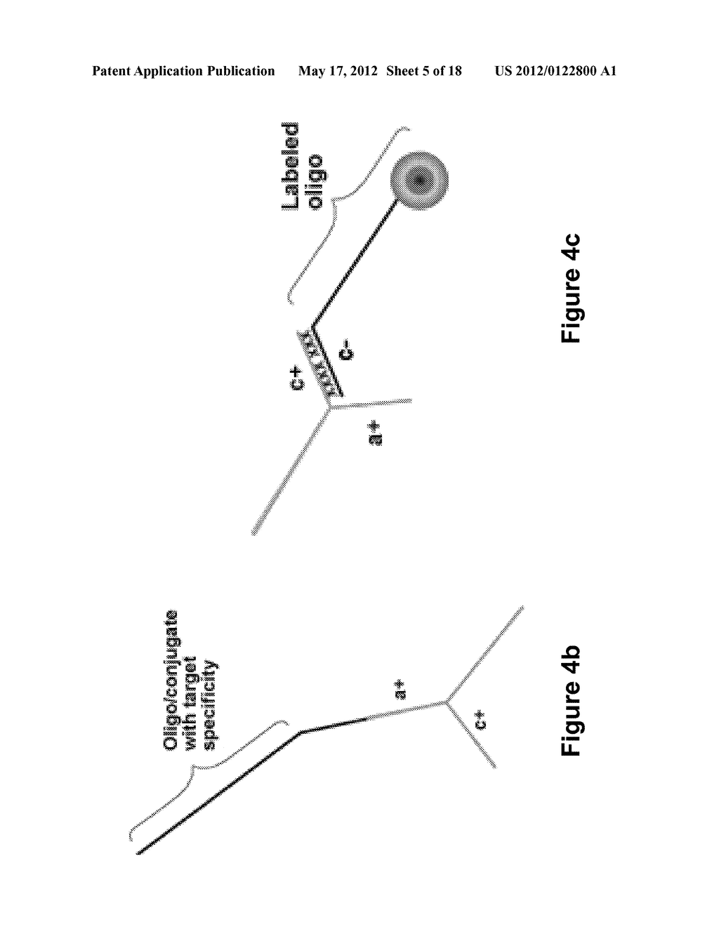 Long-Acting DNA Dendrimers and Methods Thereof - diagram, schematic, and image 06