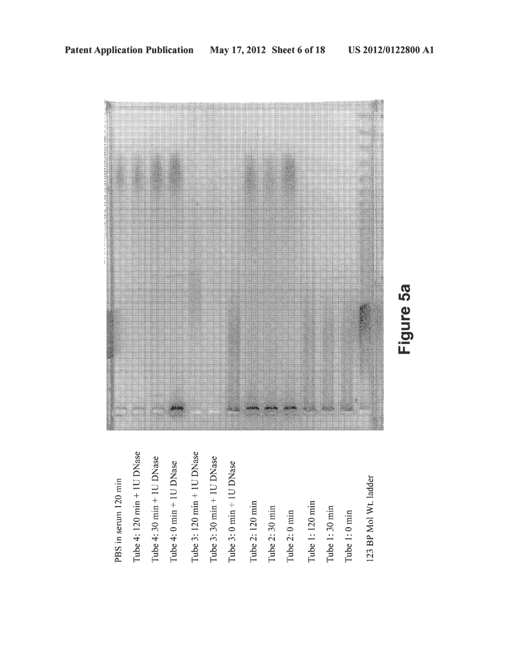 Long-Acting DNA Dendrimers and Methods Thereof - diagram, schematic, and image 07