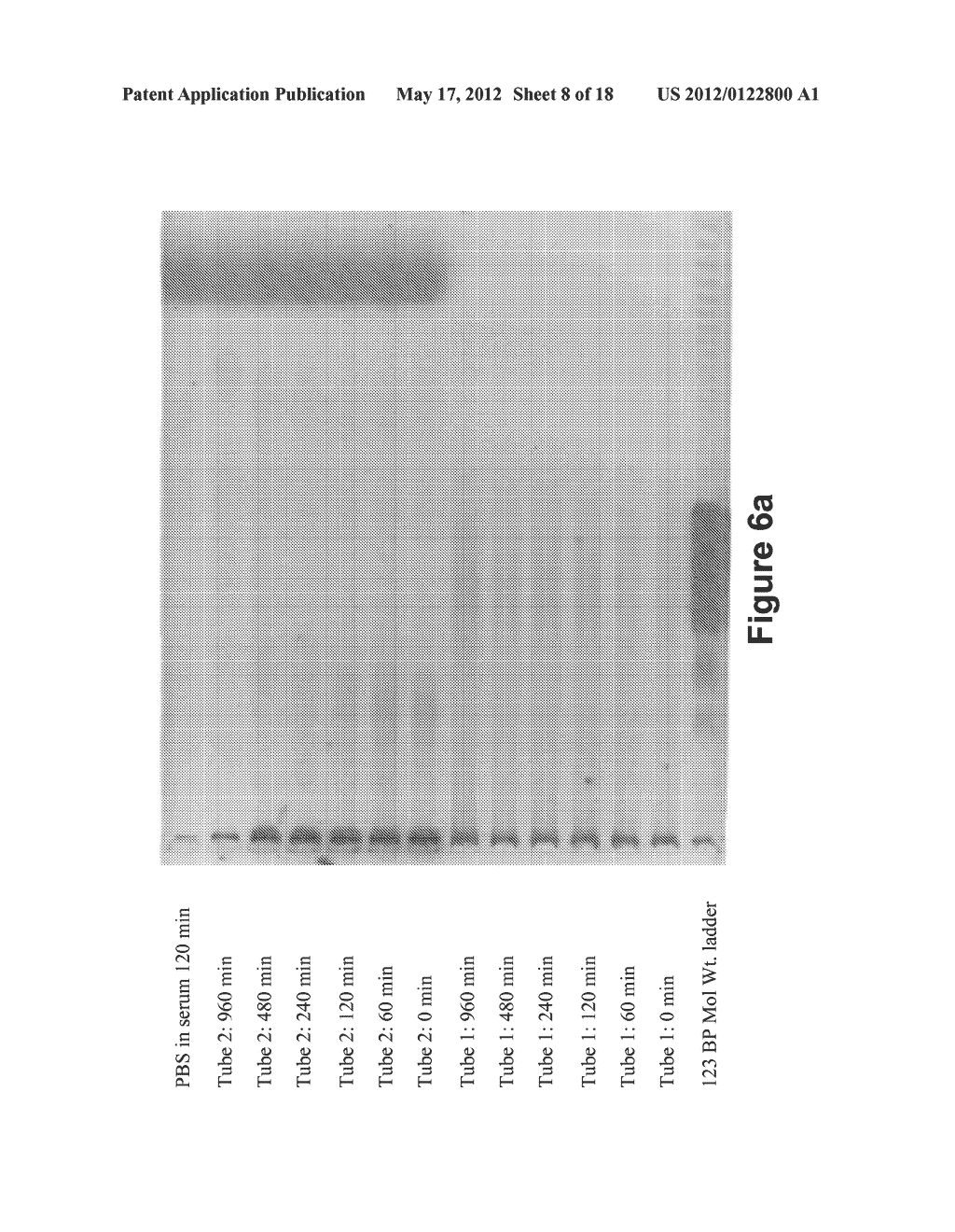 Long-Acting DNA Dendrimers and Methods Thereof - diagram, schematic, and image 09