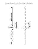 Long-Acting DNA Dendrimers and Methods Thereof diagram and image